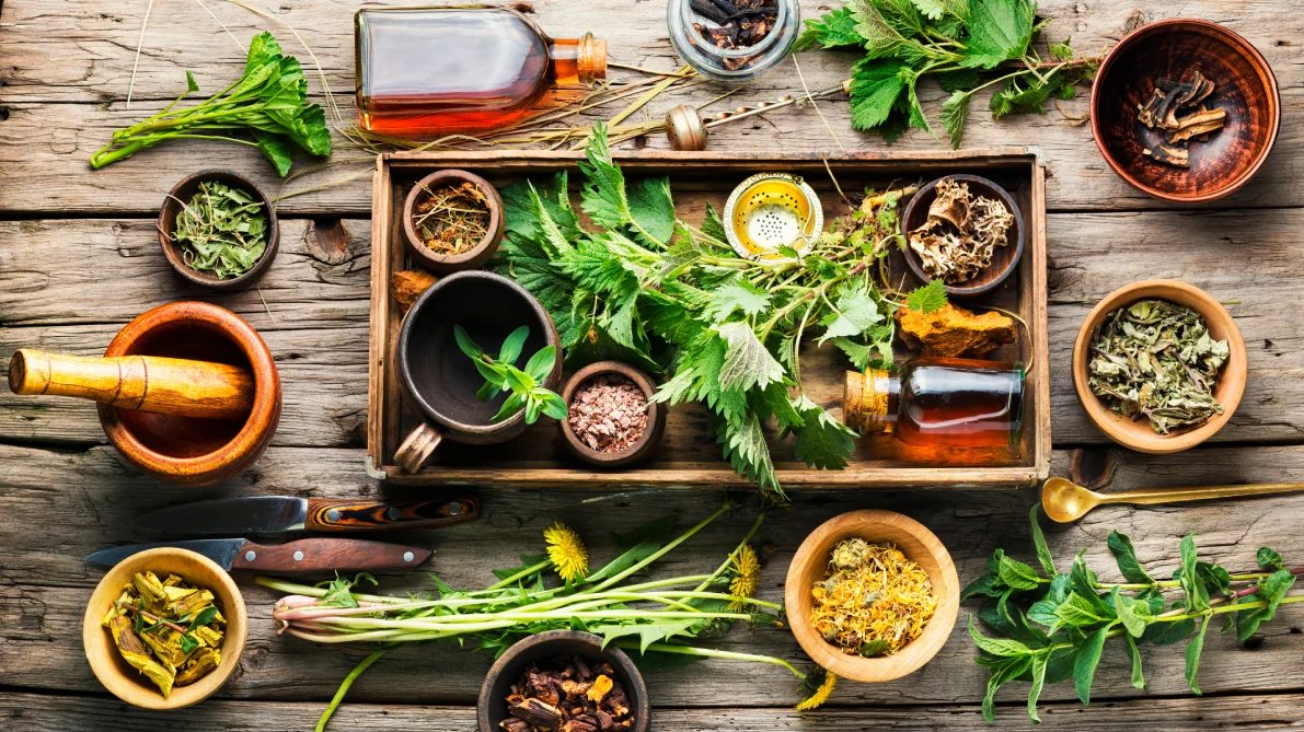 Plant Power botanicals, laid out to dry
