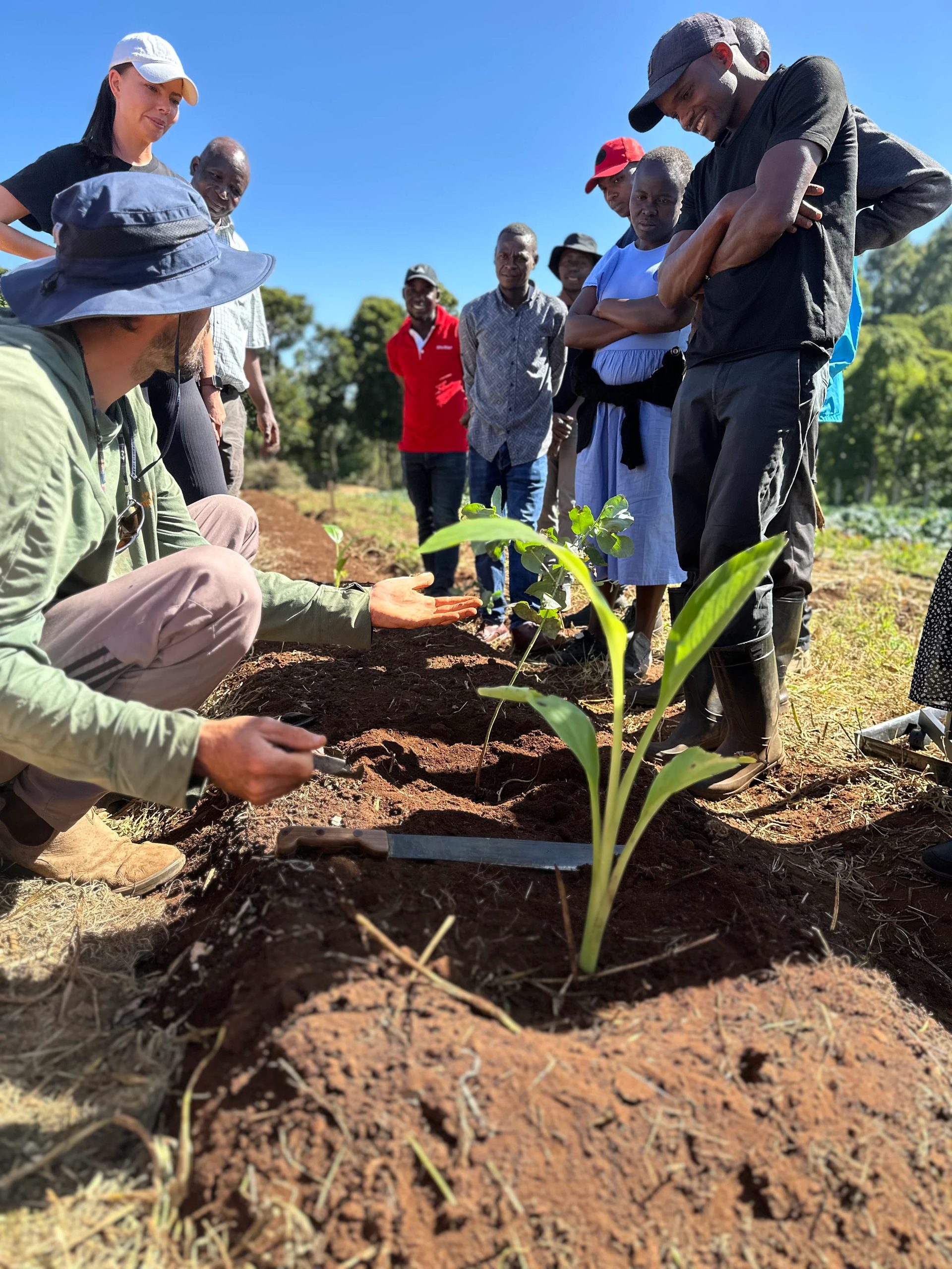Hands-on planting during a masterclass