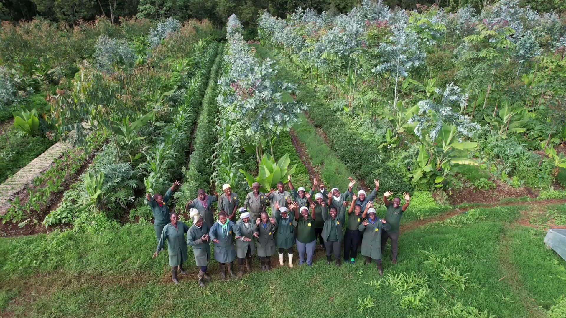 The whole team, in the farm they grew